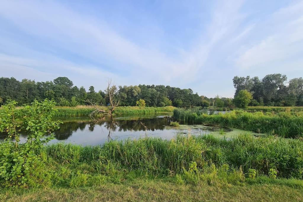 Villa Dom Male Mazury Drozdowo Esterno foto